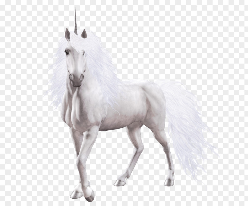 Unicorn Horse Psychology Pegasus Mythology PNG