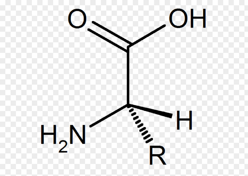 Amino Acid Carboxylic P-Toluic Benzoic Phosphoric PNG