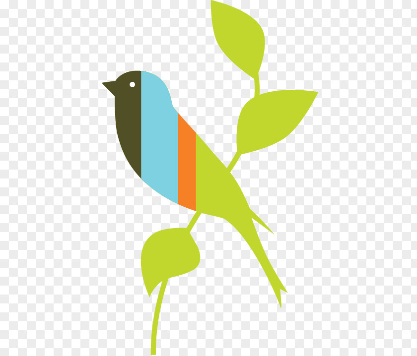 Birds Nest Beak Green Fauna Clip Art PNG