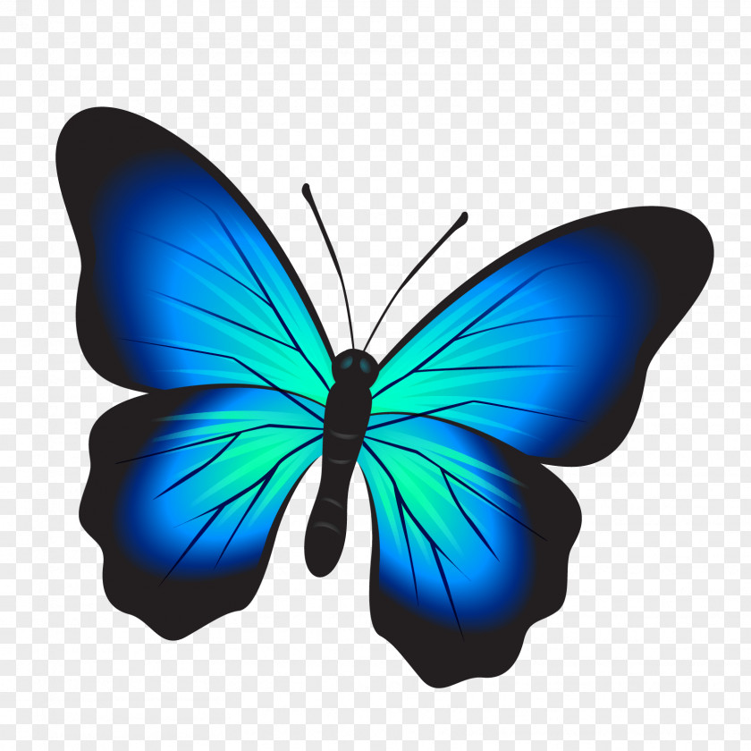 Butterfly Watercolor Painting Clip Art PNG