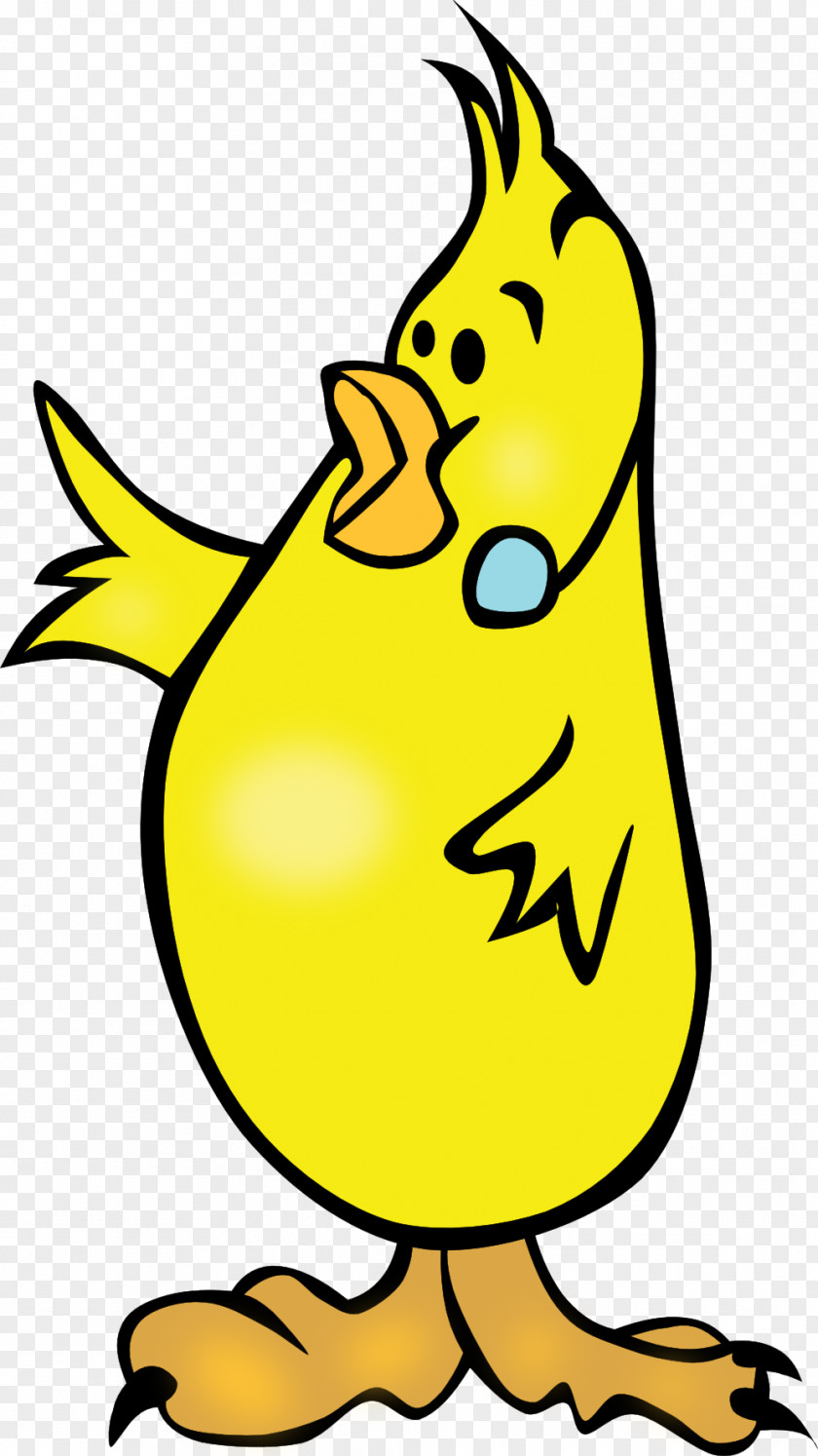 Chick Nest Coloring Book Clip Art PNG