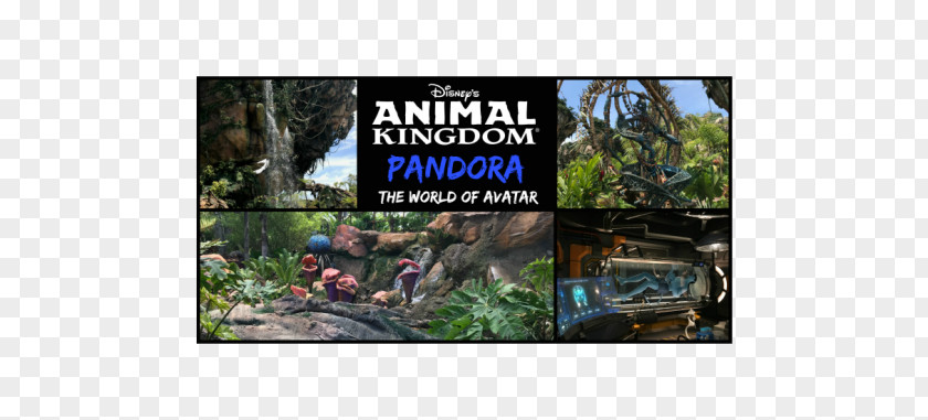 Disney's Animal Kingdom Pandora – The World Of Avatar Plant Community Advertising PNG