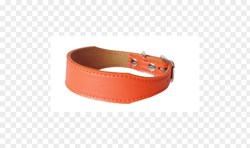 Dog Collar Clothing Accessories PNG