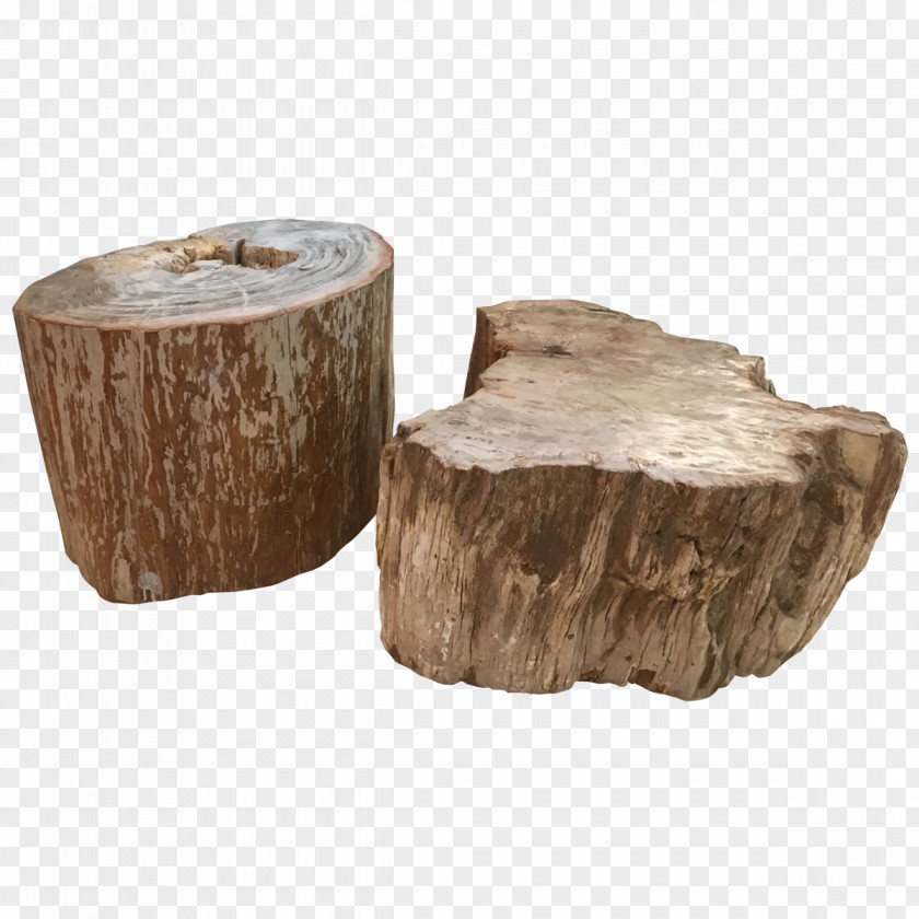 Petrified Wood Tables Table Furniture Petrifaction PNG