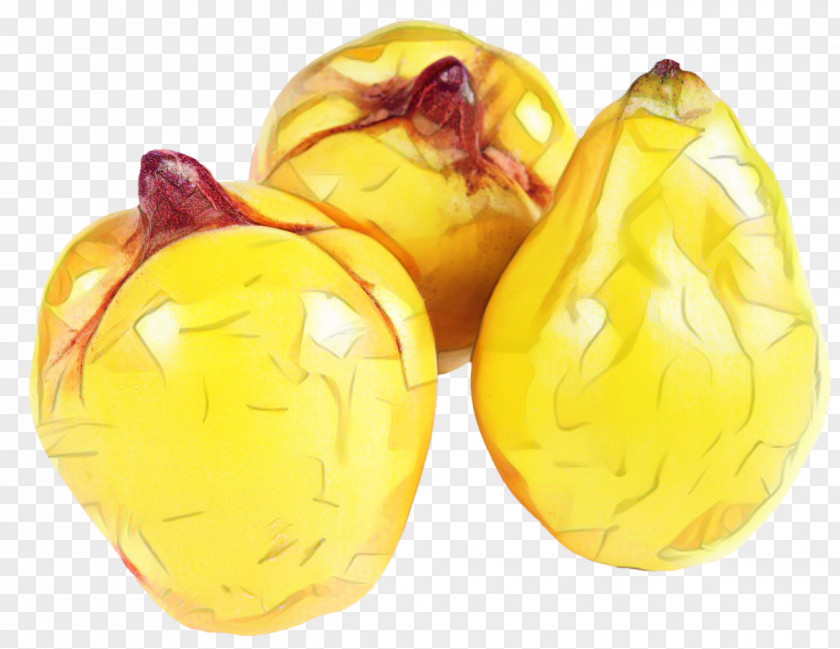 Plant Yellow Lemon Tree PNG