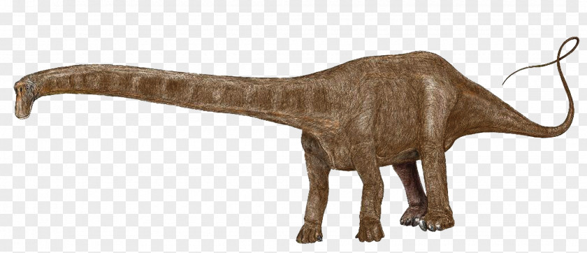 Dinosaur Plateosaurus Size Seismosaurus Apatosaurus PNG