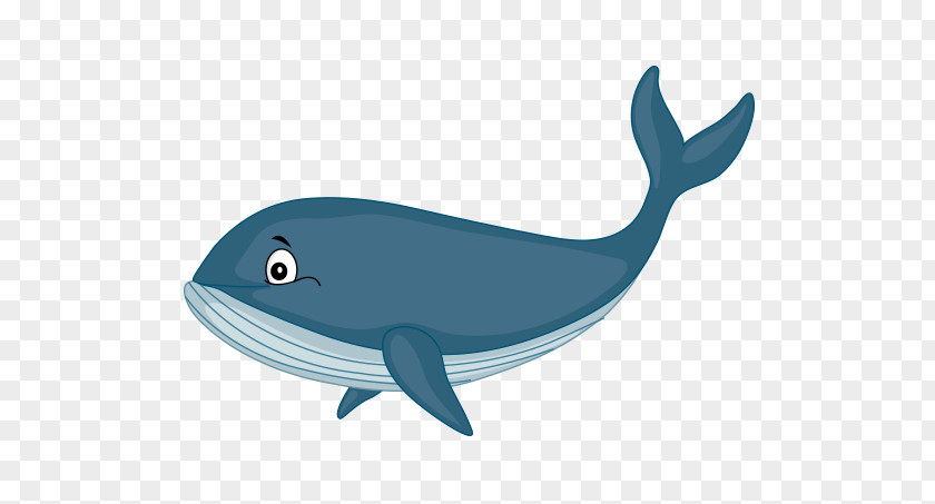 Şener Şen Common Bottlenose Dolphin Cetacea Cartoon Home Page Clip Art PNG