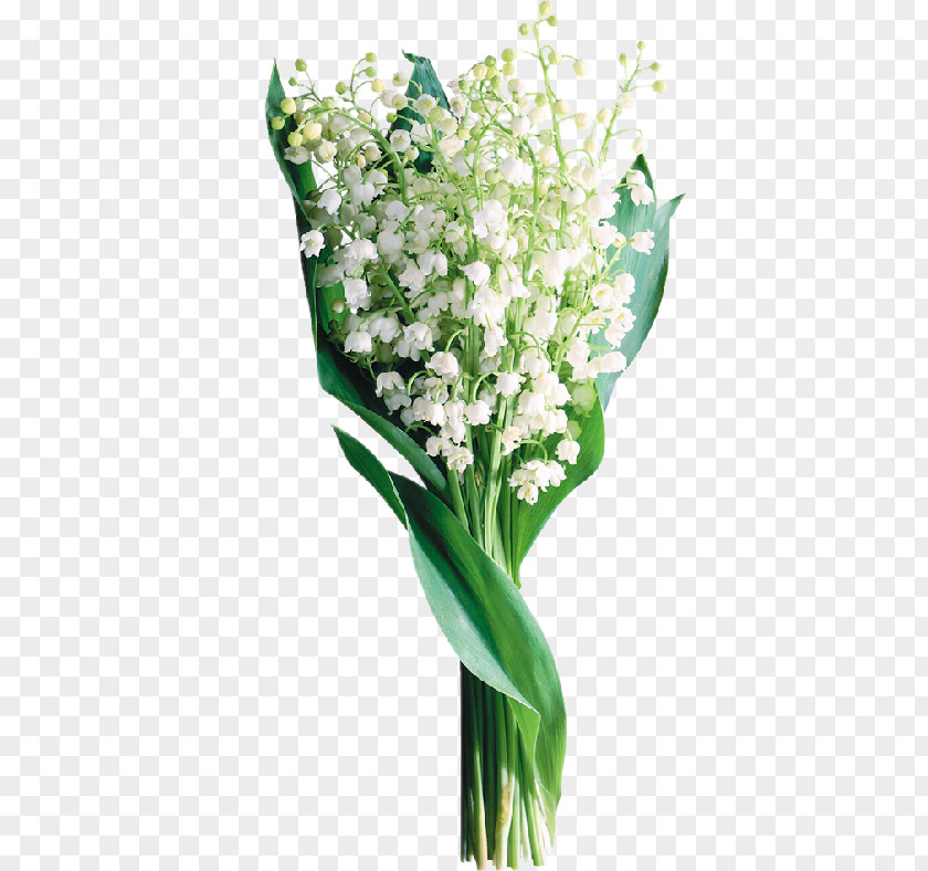 Lily Of The Valley Perfume Image Flower PNG