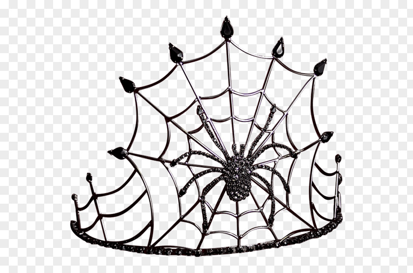 Spider Drawing Clip Art Image PNG