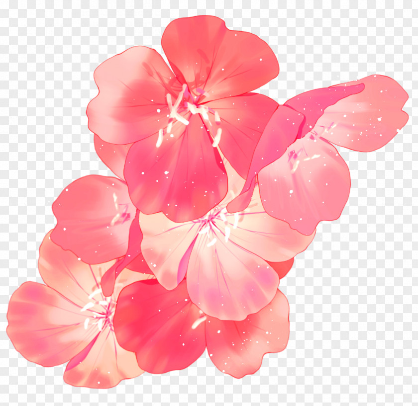 ST.AU.150 MIN.V.UNC.NR AD Cherry Blossom Geraniales Cherries PNG