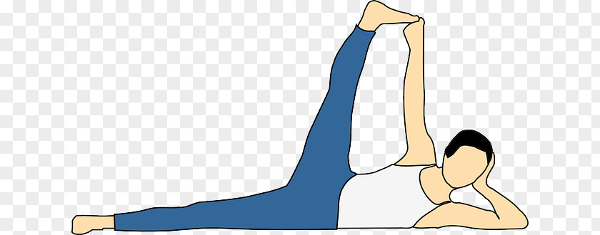 Stretching Exercise Physical Fitness Clip Art PNG