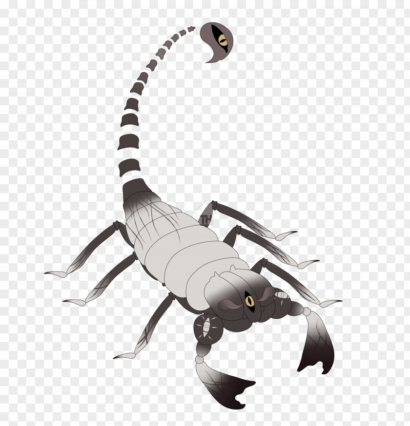 Anubis Symbol Insect Membrane Animal PNG