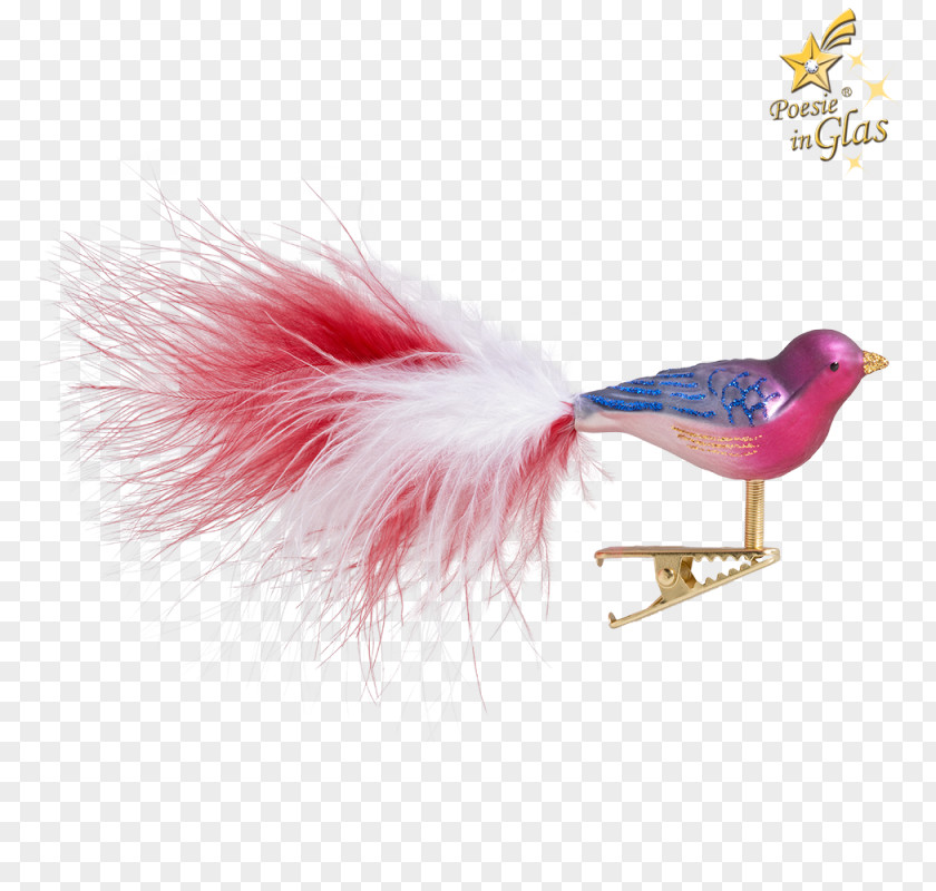 Bird Pink M Feather PNG