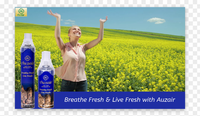 Energy Canola Advertising Grasses Happiness PNG