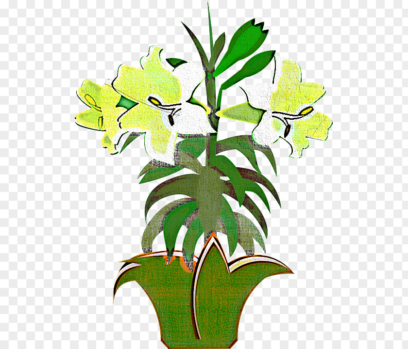 Flower Plant Leaf Houseplant Flowerpot PNG