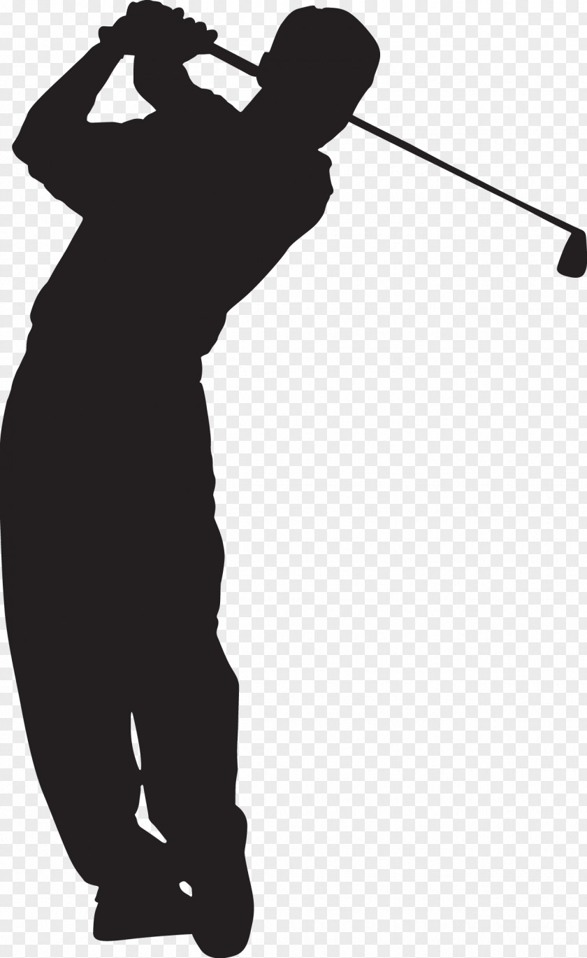Golf Professional Golfer ゴルファー保険 Balls PNG