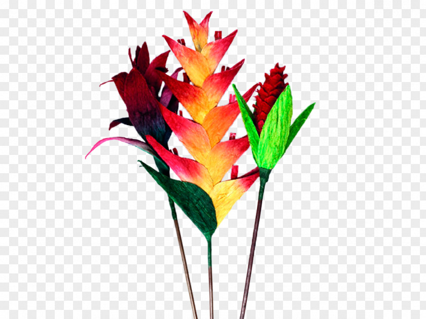 Rustic Leaves Cut Flowers Handicraft Artesanías De Colombia PNG