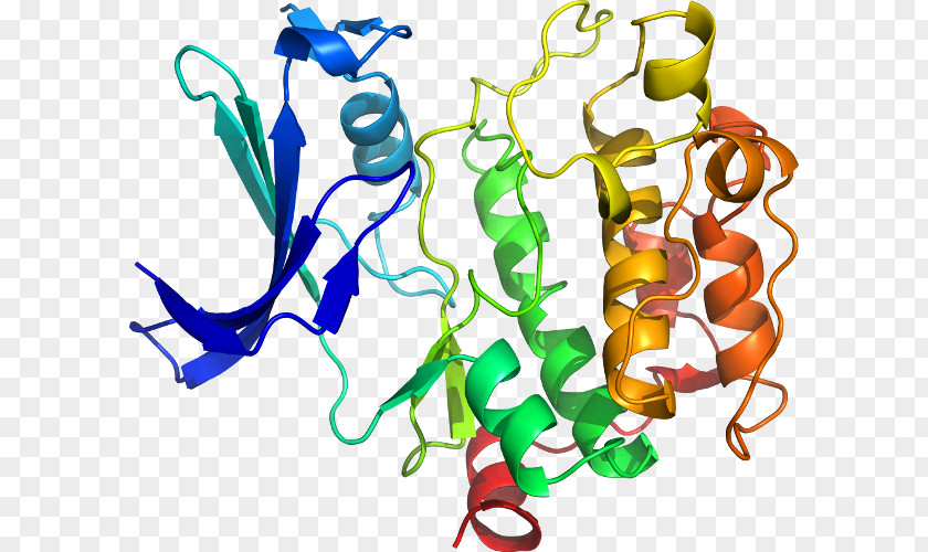 Serine/threonine-specific Protein Kinase NEK2 PNG
