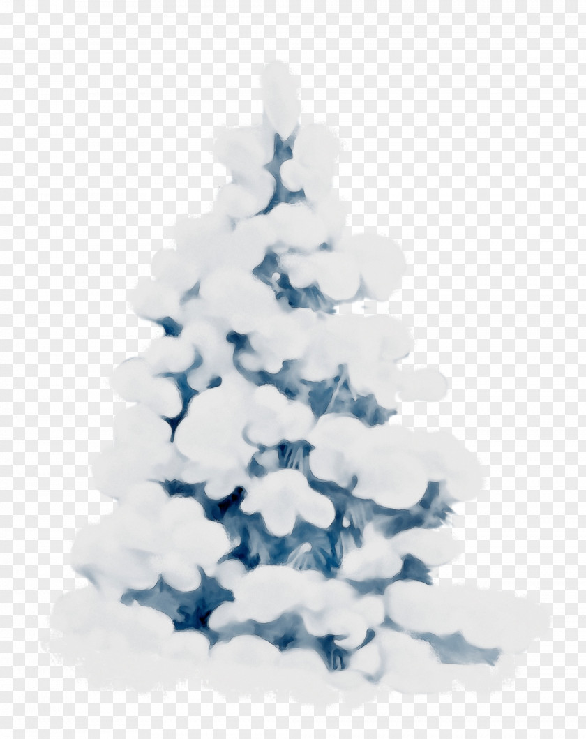 Christmas Tree PNG