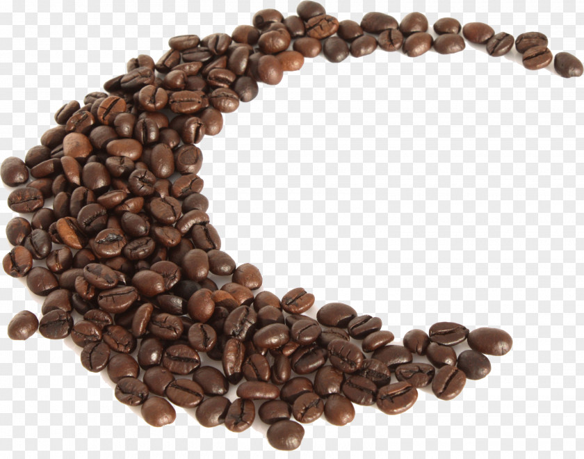 Coffee Beans Bean Cafe Drink Roasting PNG