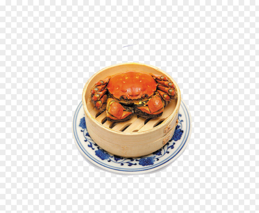 Crab Hongze Lake Yangcheng Yangchenghu Chinese Mitten PNG