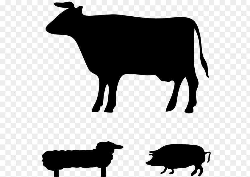 Farm Animals Angus Cattle Jersey Welsh Black Guernsey Holstein Friesian PNG