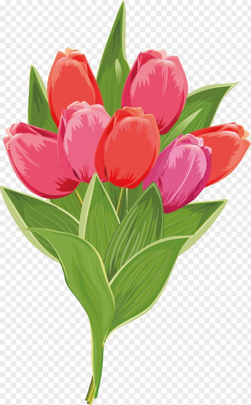 Floral Decoration Tulip Euclidean Vector Flower Illustration PNG
