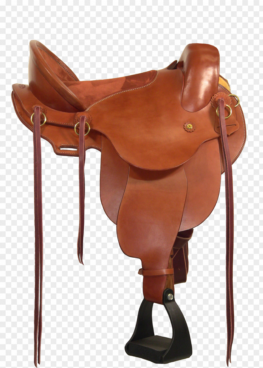 Horse Rein Halter Bridle Saddle PNG