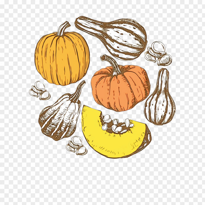 Squash Food Pumpkin PNG