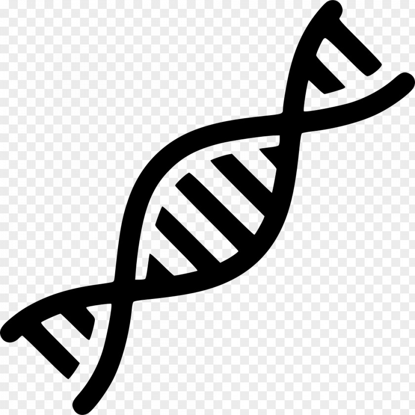 Vector Nucleic Acid Double Helix DNA Gene PNG