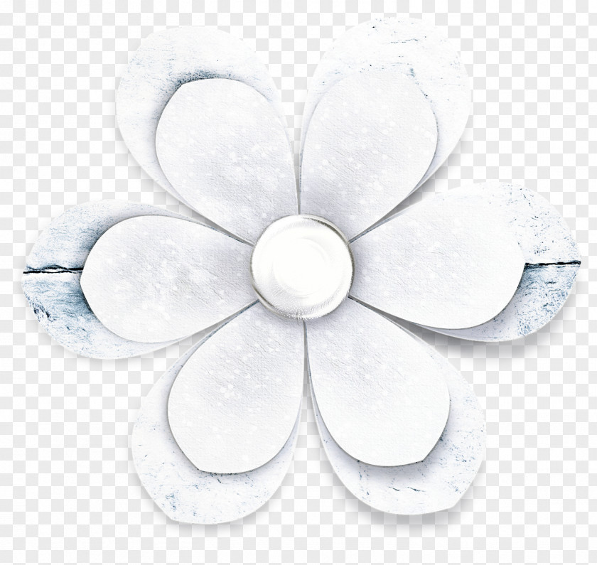 White Petal Plant Flower PNG