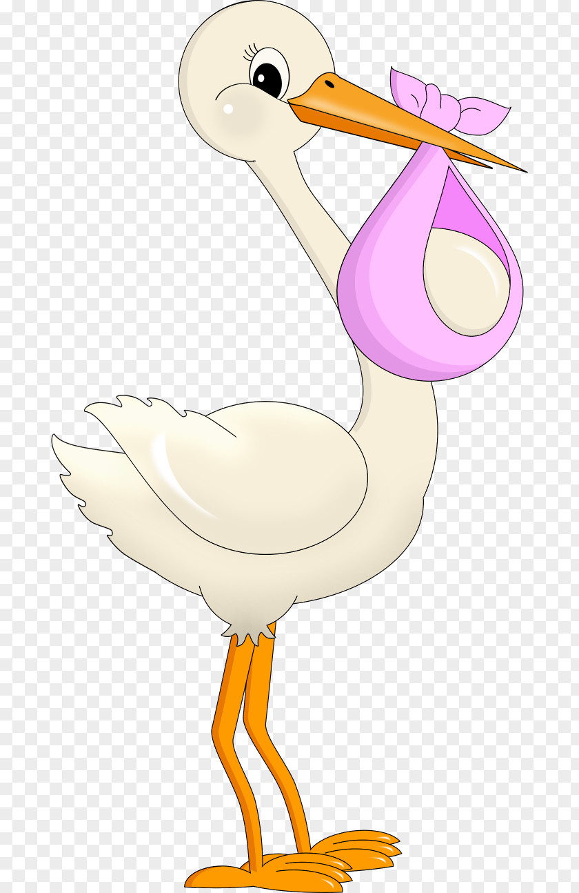 Child Baby Shower White Stork Infant Clip Art PNG