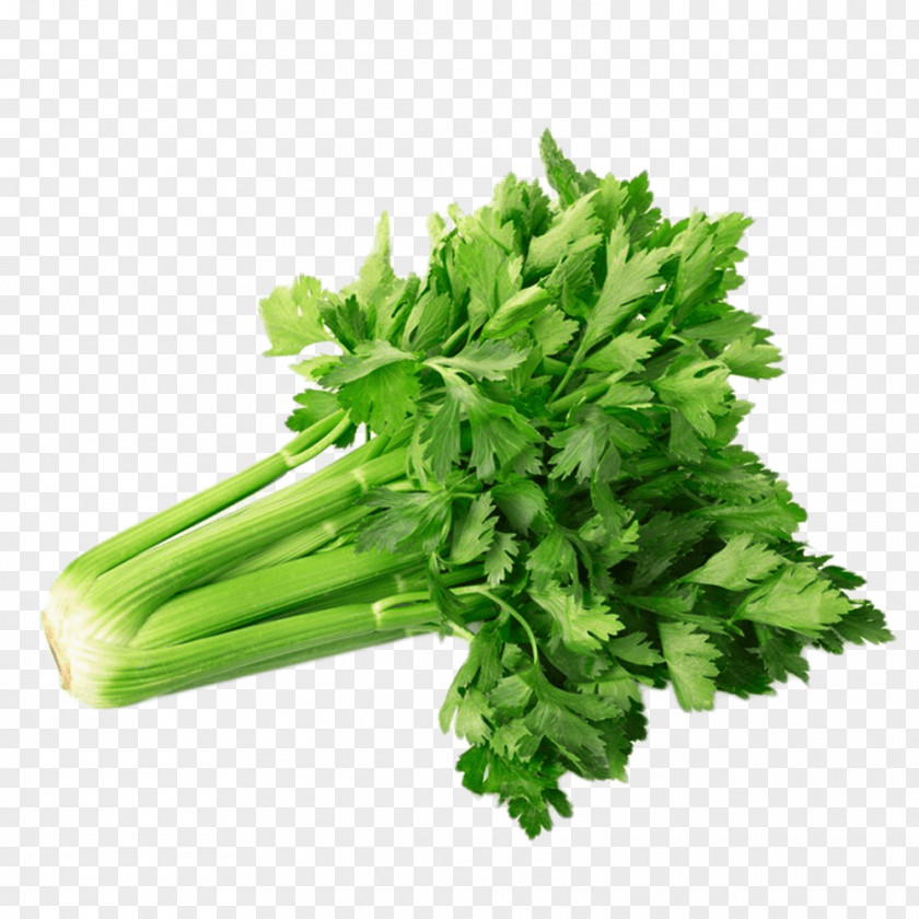 Green And Fresh Celery Powder Vegetable Juice Organic Food PNG