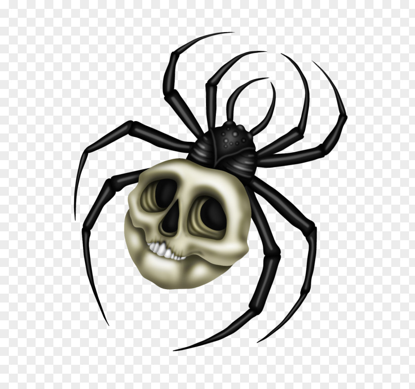 LADY GAGA SPIDER Black Widow Spiders Insect Clip Art PNG