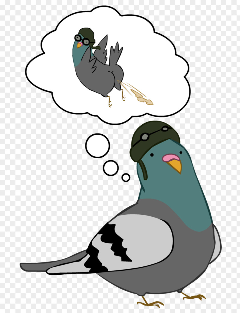 Bird Beak Flightless Clip Art PNG