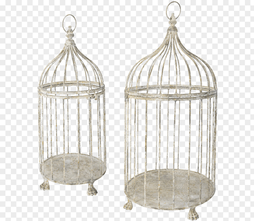 Bird Birdcage Aviary Pet Shop PNG