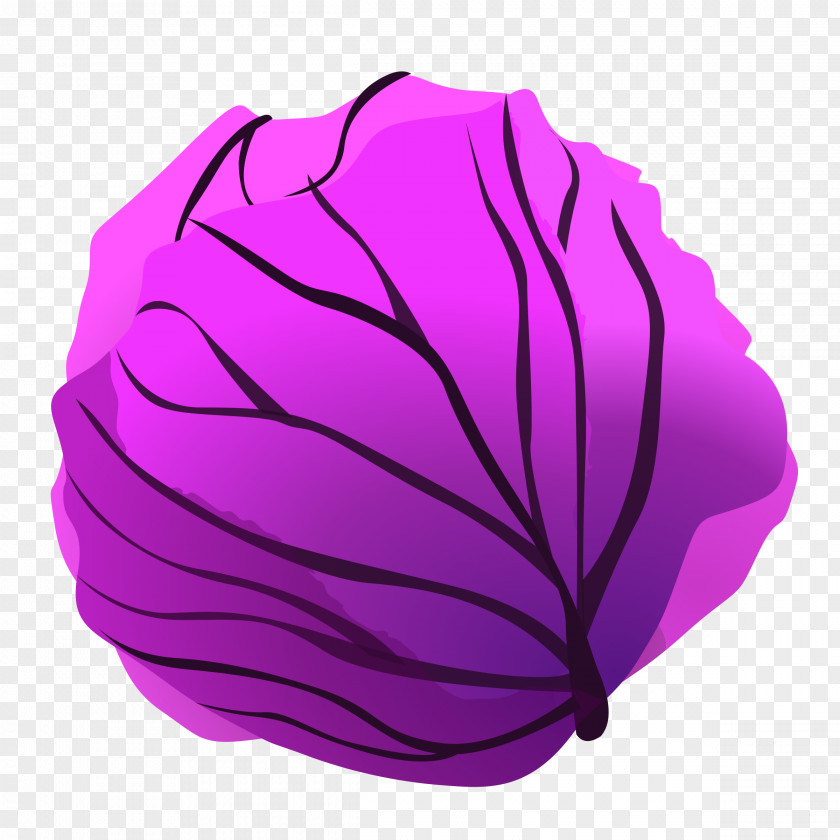 Cabbage Red Savoy Cauliflower Clip Art PNG