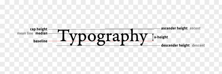 Design Logo Typography Document PNG