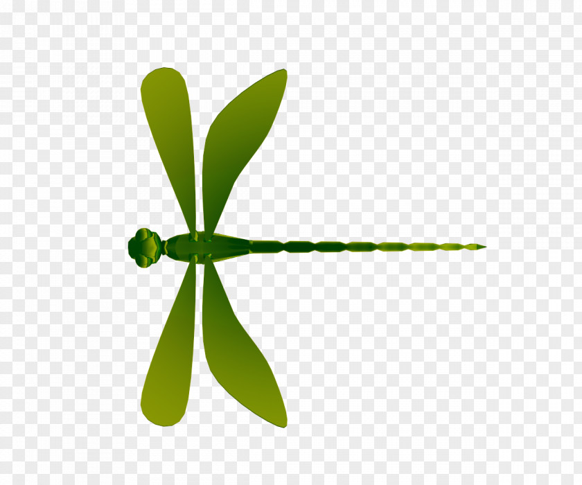 Dragonfly Logo PNG