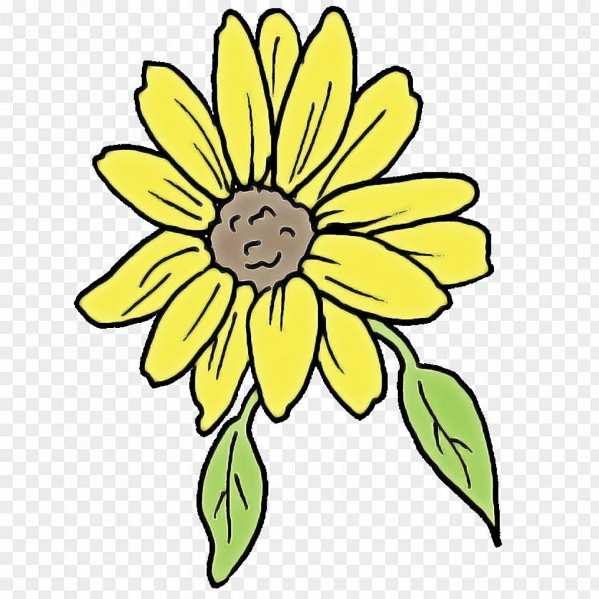 Floral Design PNG