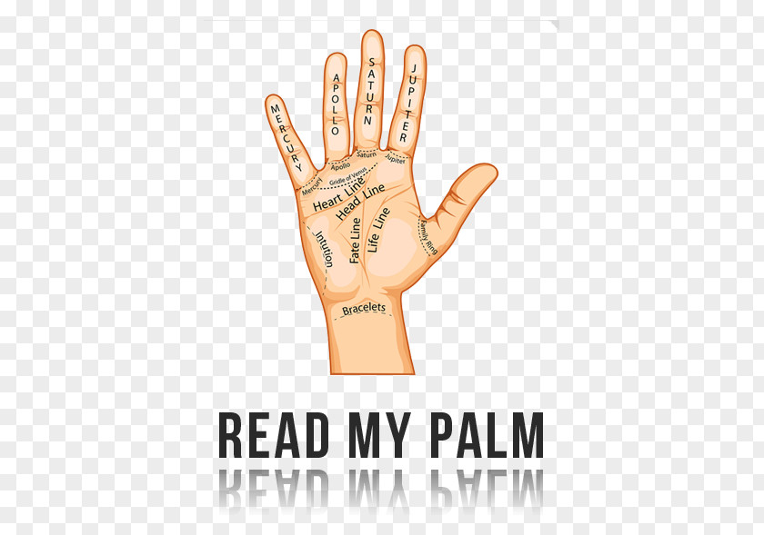 Hand Secrets Of Palmistry Prediction Fortune-telling PNG