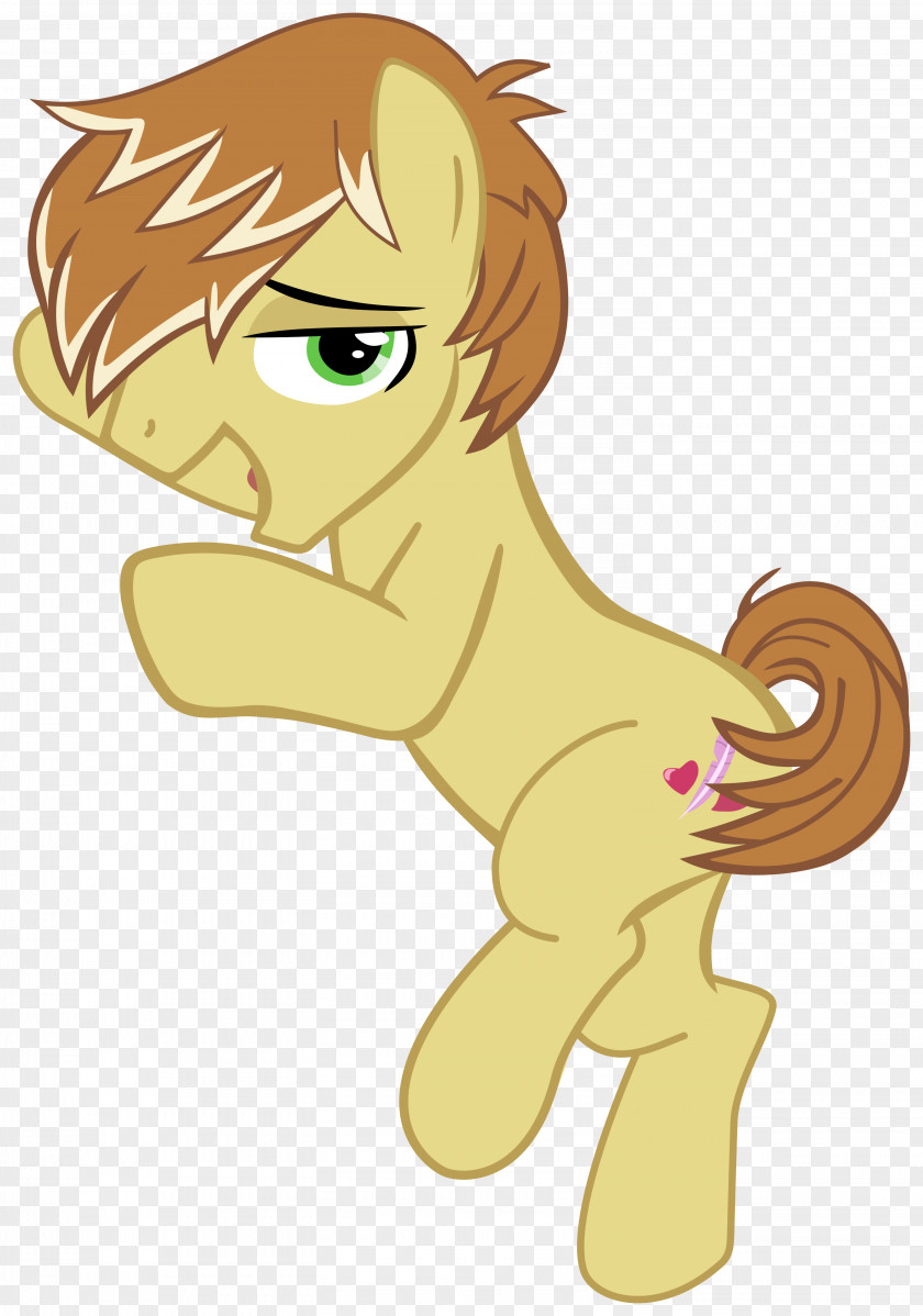 Lion Pony Bangs Hard To Say Anything Feather PNG