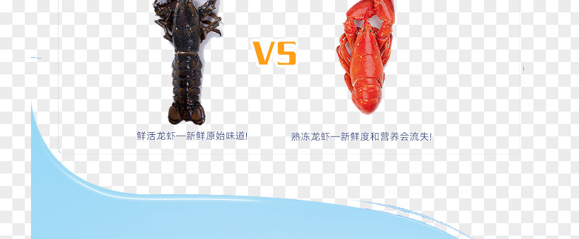 Lobster VS Figure Homarus Seafood Lagosta Red PNG