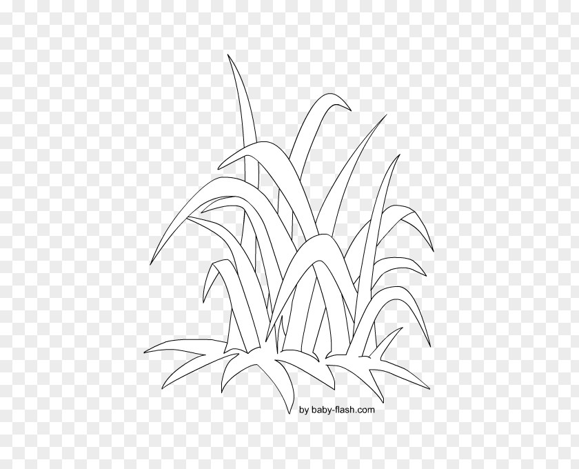 Plant Stem Line Art Leaf Sketch PNG