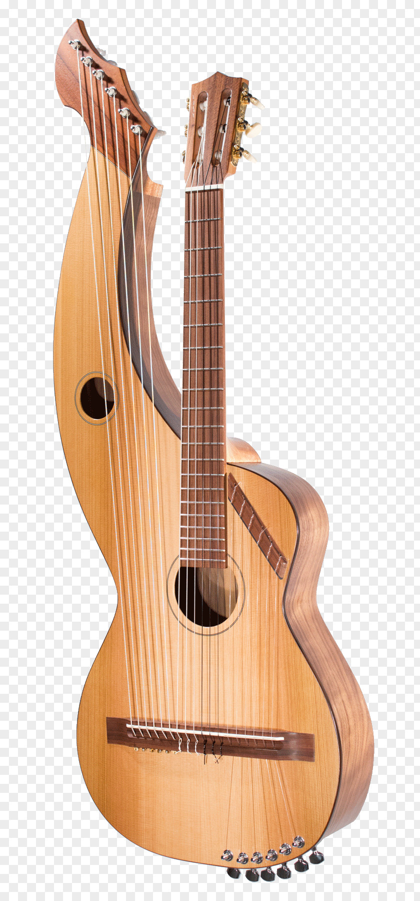 Acoustic Guitar Tiple Bass Cuatro Acoustic-electric PNG