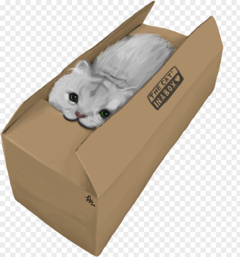 Cat Box Cardboard Carton PNG