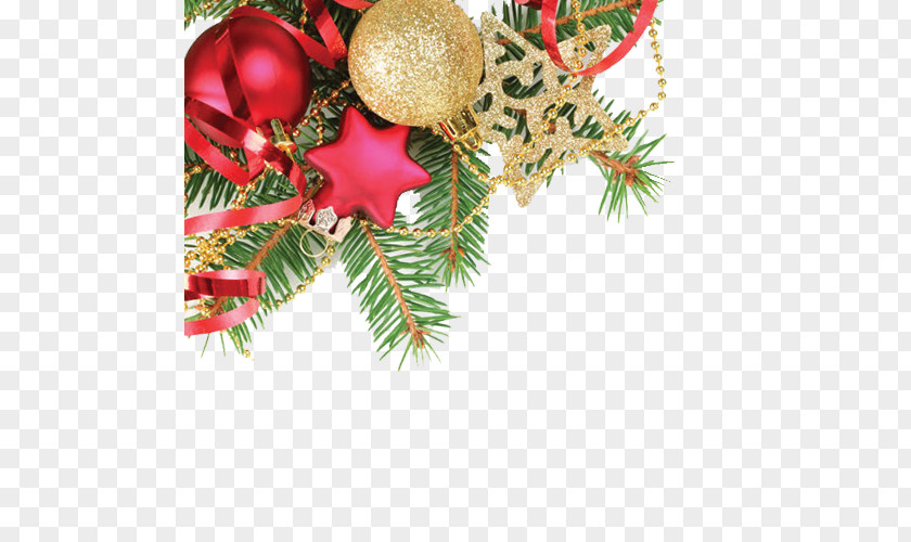 Christmas Royal Message Greeting & Note Cards Card PNG