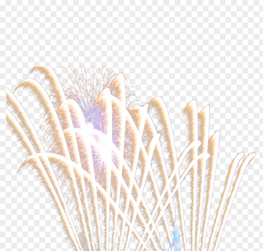 Golden Fireworks Gold PNG