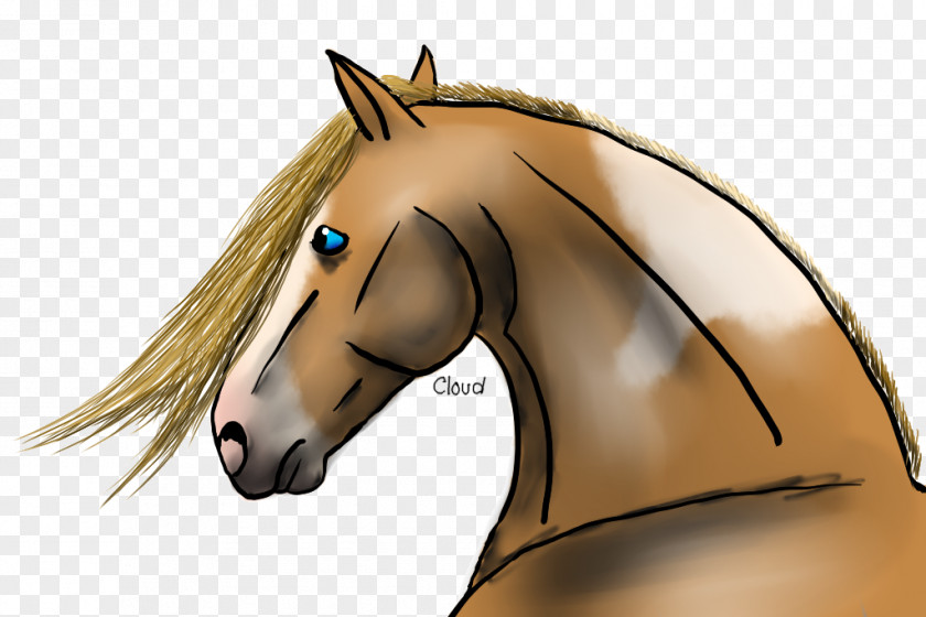 Mustang Mane Pony Halter Stallion PNG