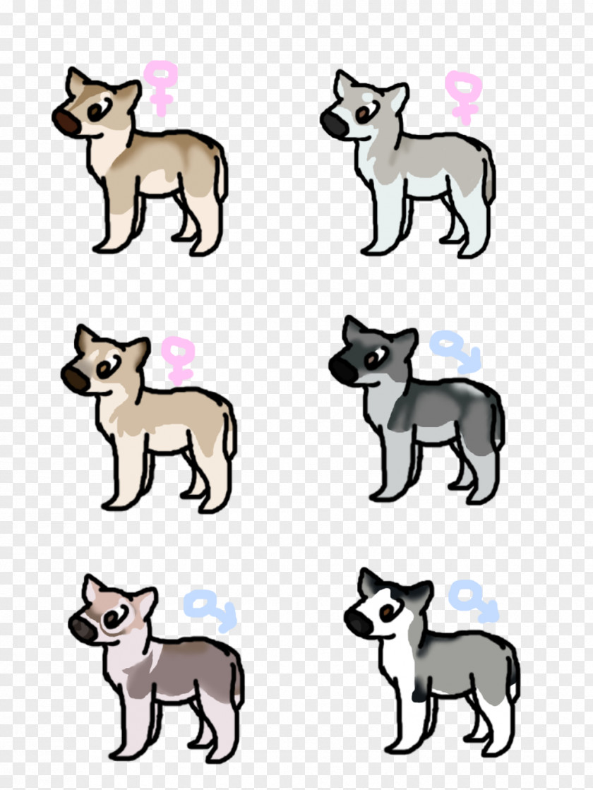 Siberian Husky Puppy Miniature Dog Breed Whiskers PNG